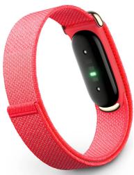 Фитнес-трекер Google Fitbit Air, Berry